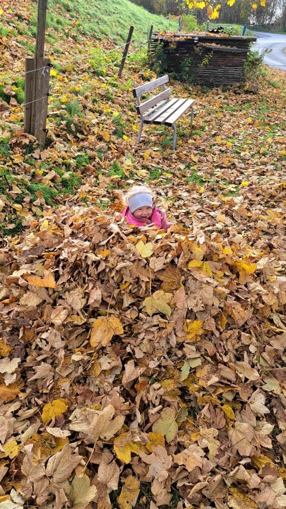Herbstspaziergang2