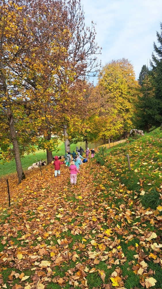 Herbstspaziergang3
