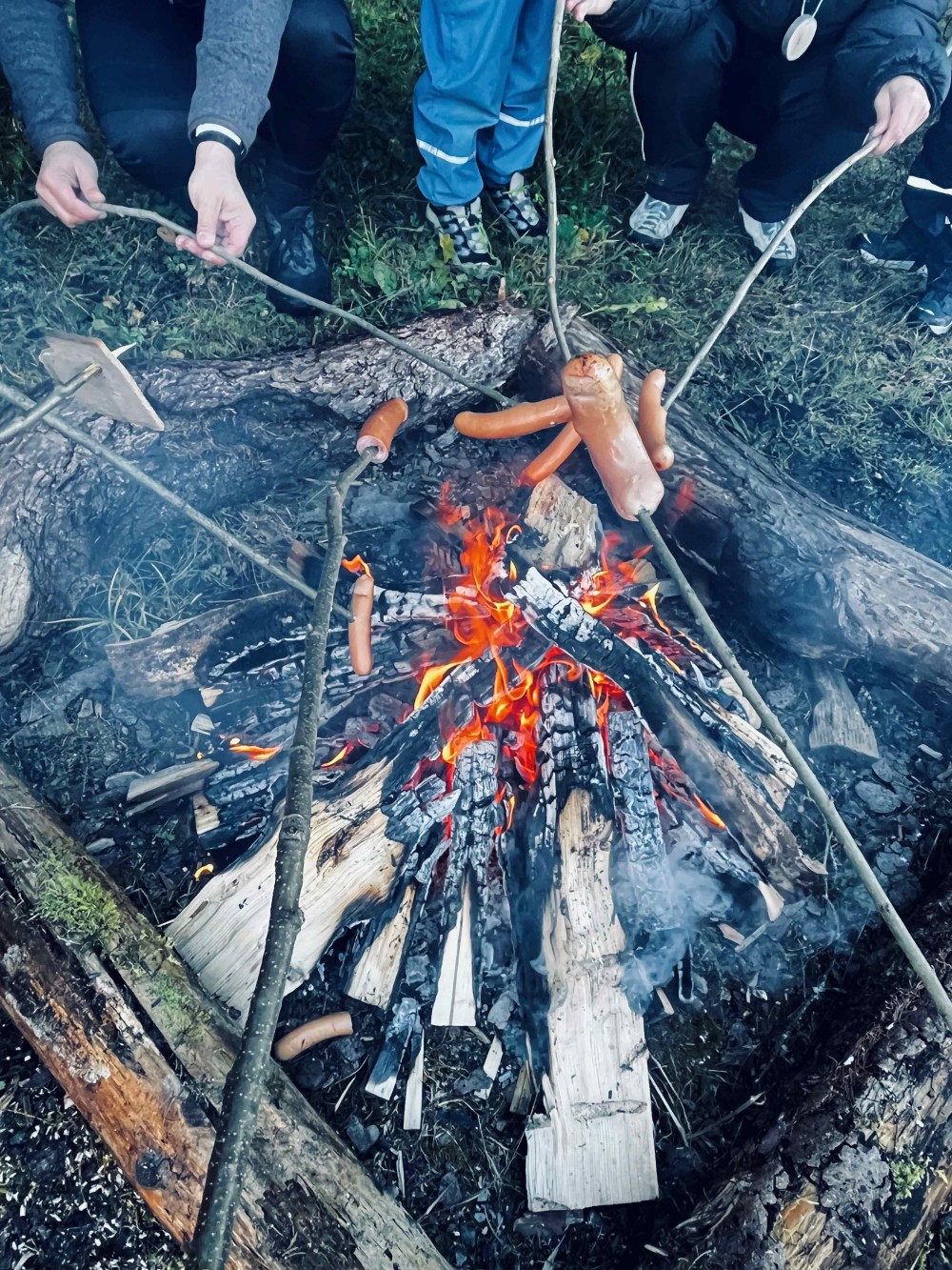 Waldp&auml;dagoge5